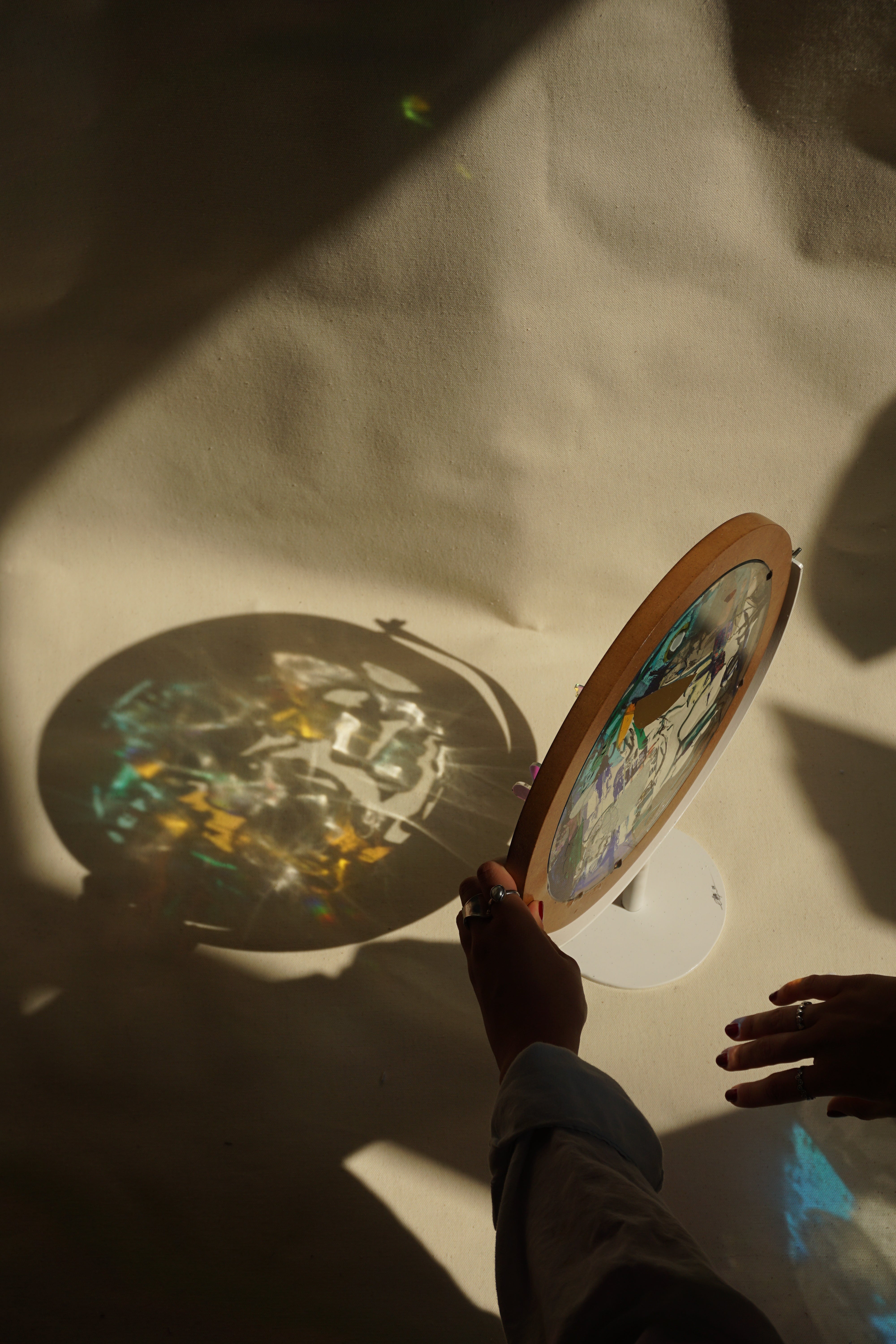 Conexión en Movimiento