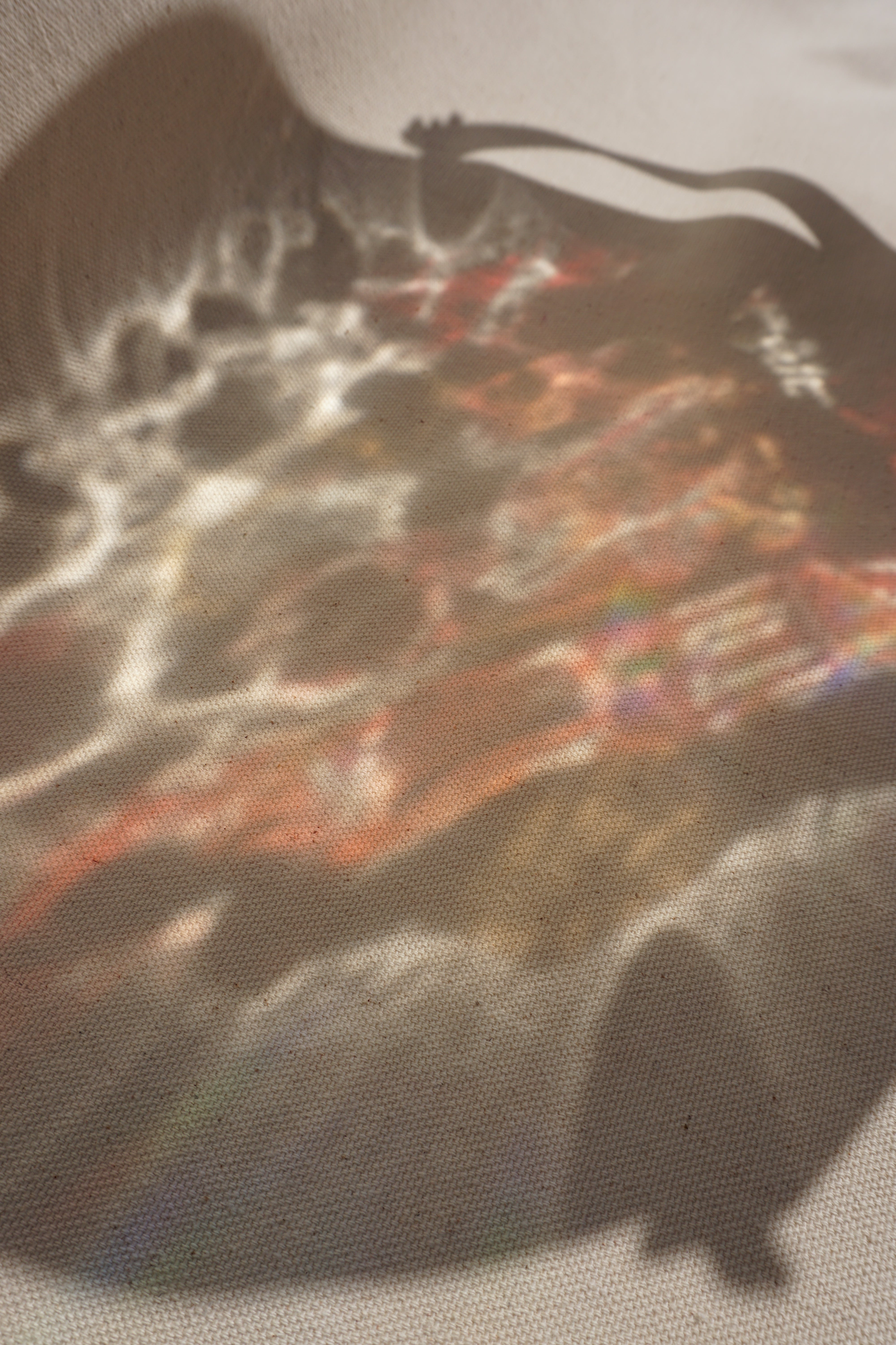 Entre el Asfalto y el Mar